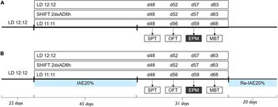 The effects of circadian desynchronization on alcohol consumption and affective behavior during alcohol abstinence in female rats